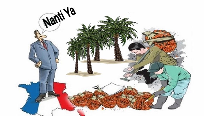 Janji Manis PT Minamas Berbuah Derita Bagi Karyawan