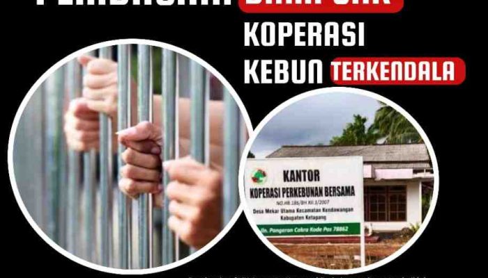 Pembagian Dana SHK Anggota Koperasi Perkebunan Bersama Terkendala, ini Penyebabnya