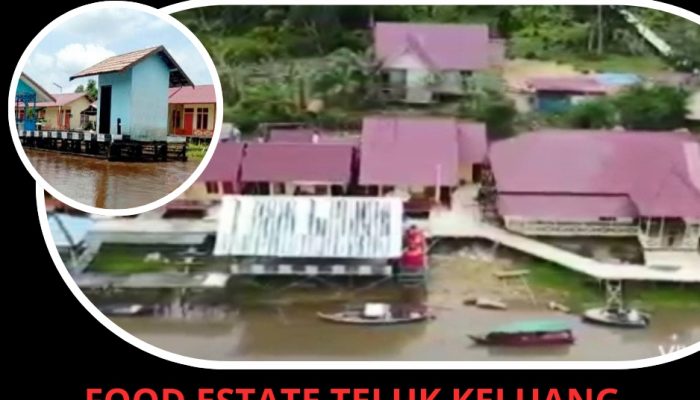 Food Estate Teluk Keluang Era Bupati Martin, Proyek Kepentingan, Banyak Habiskan APBD