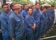 Terungkap, PT BAP dan SZCI Pekerjakan 364 TKA Ilegal