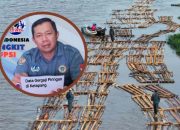 Sorotan Muncul Paska Gakkum Tangkap Kayu Gelondongan Warga
