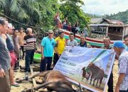 PT DIB Distribusikan Hewan Kurban ke Tiga Kecamatan di Kayong Utara