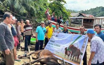PT DIB Distribusikan Hewan Kurban ke Tiga Kecamatan di Kayong Utara