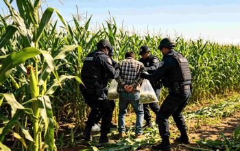 Pencuri Jagung Buka Jejak Narkoba, 3 Oknum Polisi di Ketapang Diperiksa
