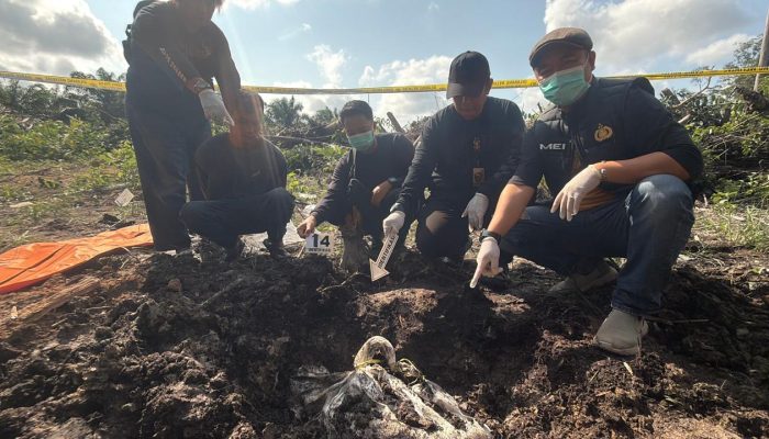 Cinta Berakhir Tragis, Perempuan di Manis Mata Ditemukan Tewas Terkubur di Kebun Sawit