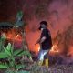 Karhutla Kembali Terjadi di Taman Nasional Gunung Palung, Warga dan Relawan Bergerak Padamkan Api