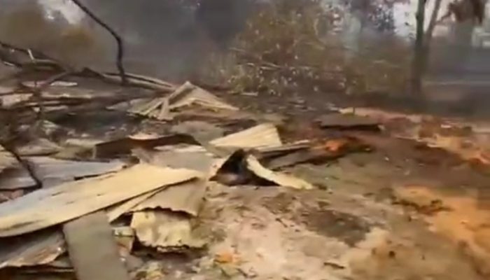 HCV Tanjung Sekuting Tempat Keragaman Hayati Terbakar, PT Kal FR Group Harus Tanggung jawab